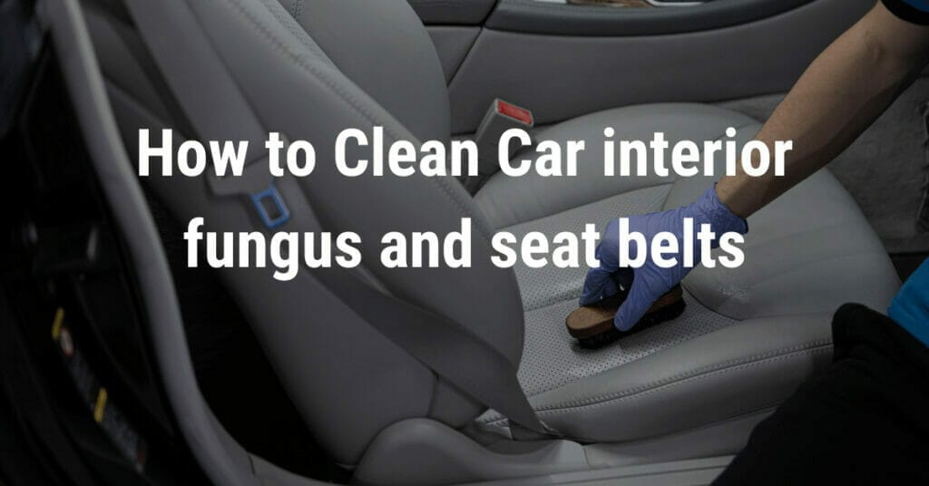 How to Clean Car Interior Fungus and Seat Belts