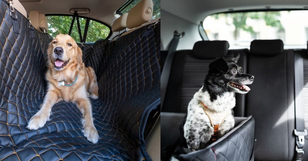 How to Protect Leather Car Seats from Dogs