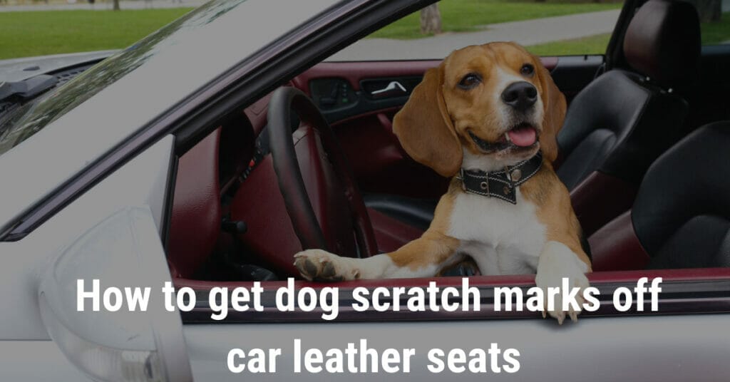 How to get dog scratch marks off car leather seats