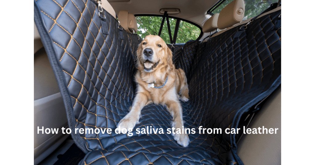How to remove dog saliva stains from car leather
